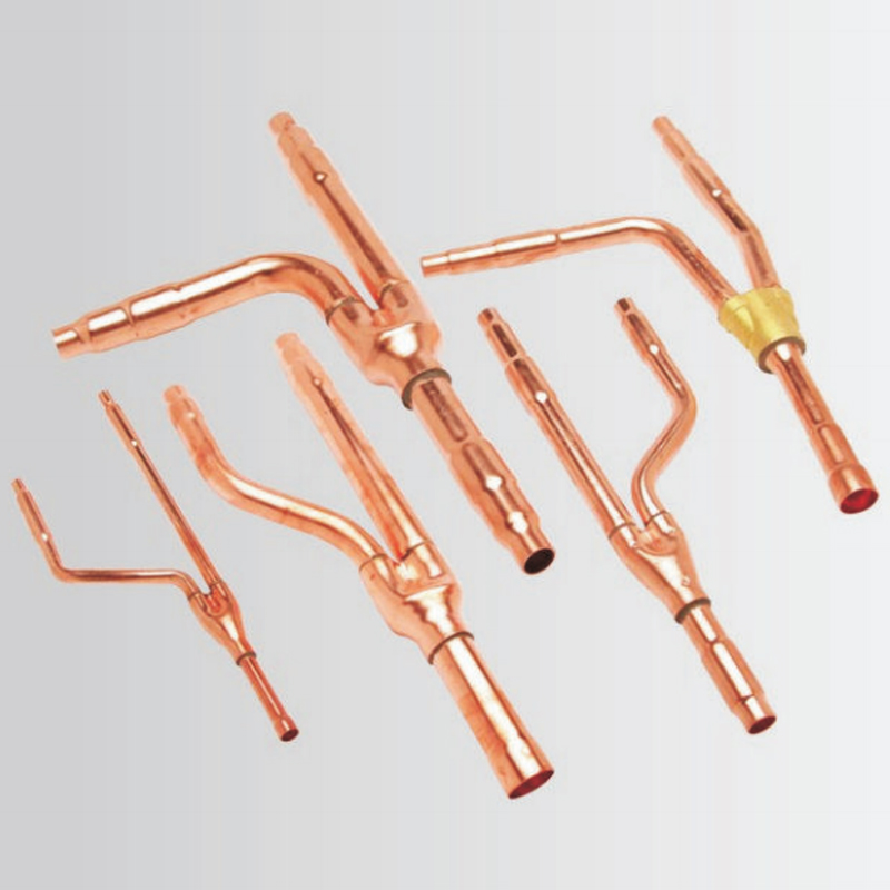Disperse type tibia