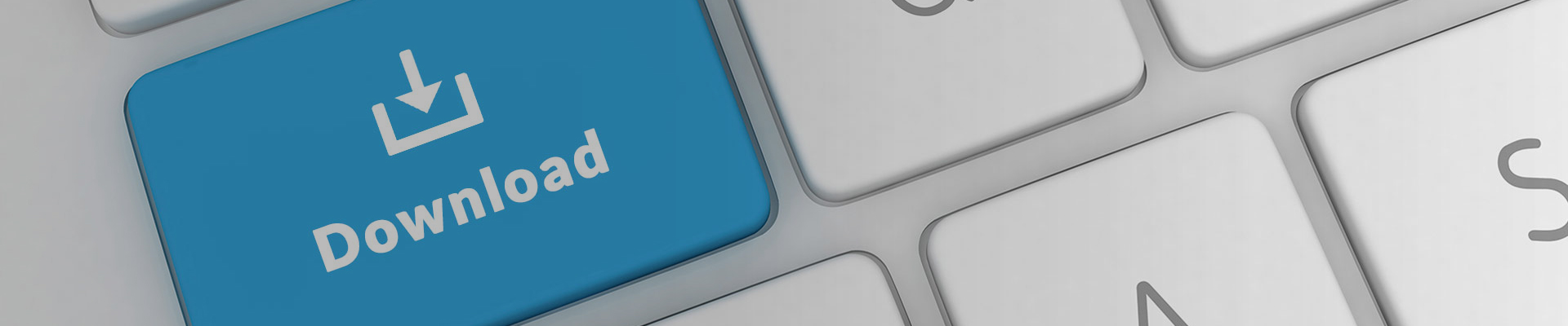 Ningguo Kingockool Import et Export Co., Ltd.